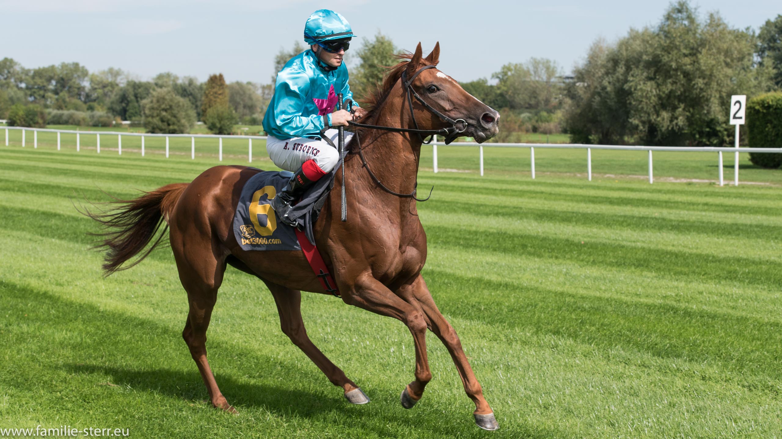 Galopprennen  München September 2015